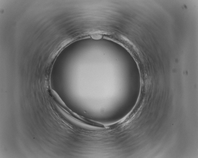 X0000072991361200608041258