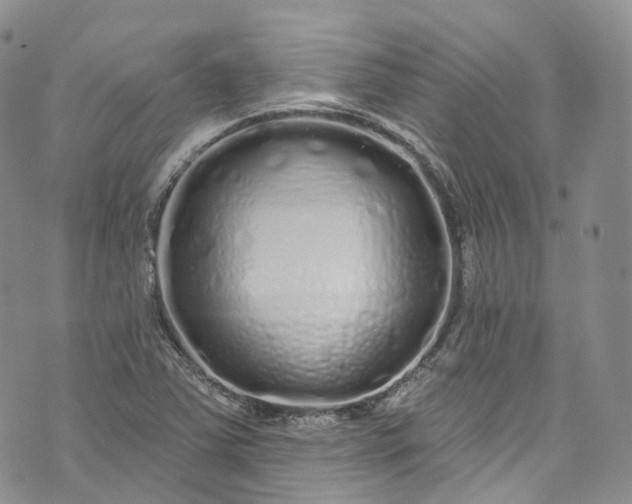 X0000072991363200608041258