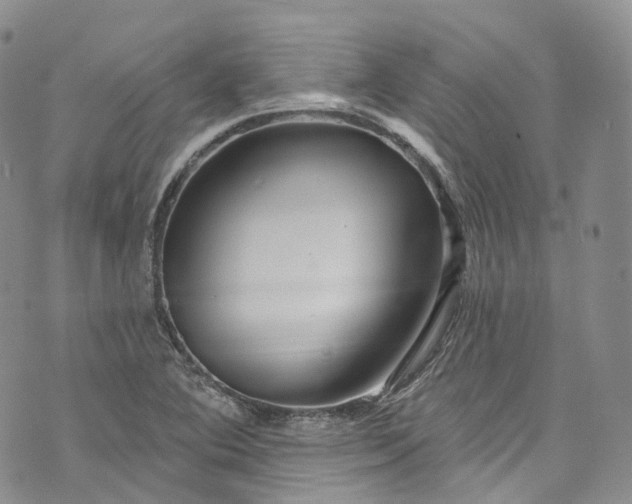 X0000072991364200608041258