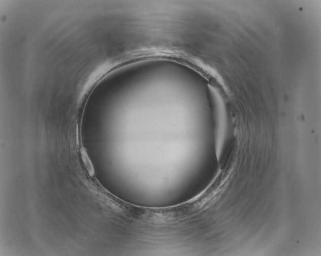 X0000072991365200608041258