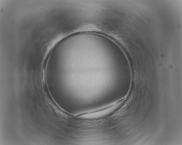 X0000072991366200608041257