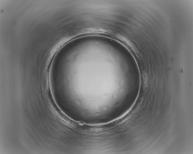 X0000072991371200608041257