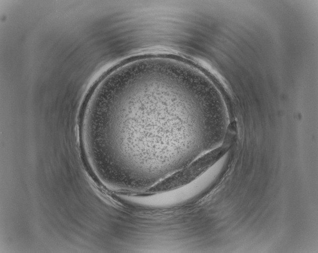 X0000072991372200608041257