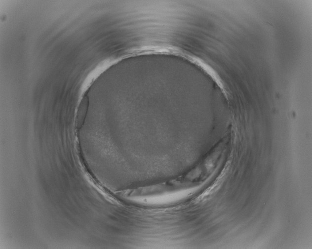 X0000072991373200608041257