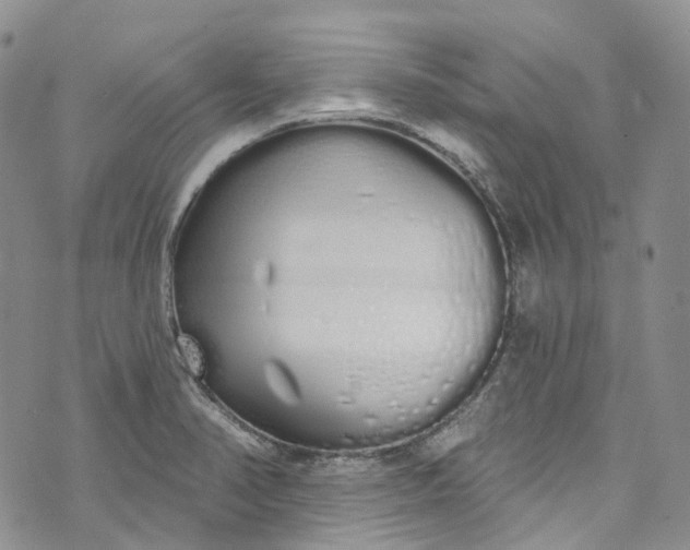 X0000072991374200608041257