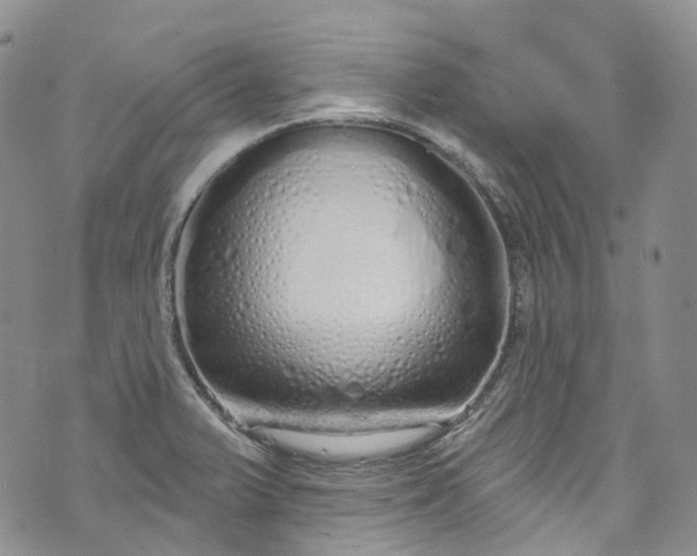 X0000072991375200608041257