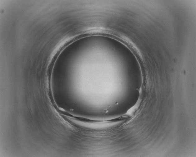 X0000072991376200608041257