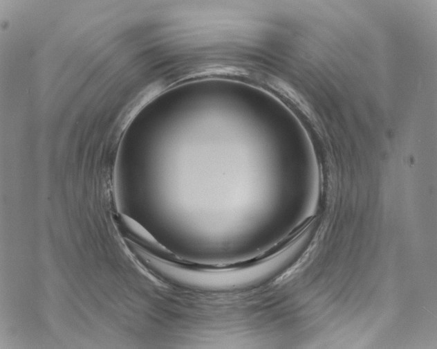 X0000072991377200608041257