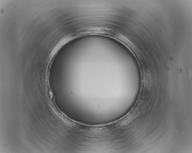 X0000072991378200608041257