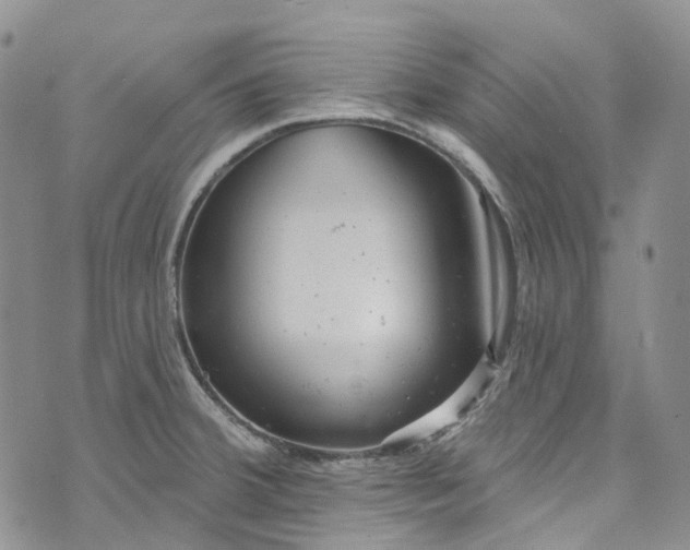 X0000072991380200608041257