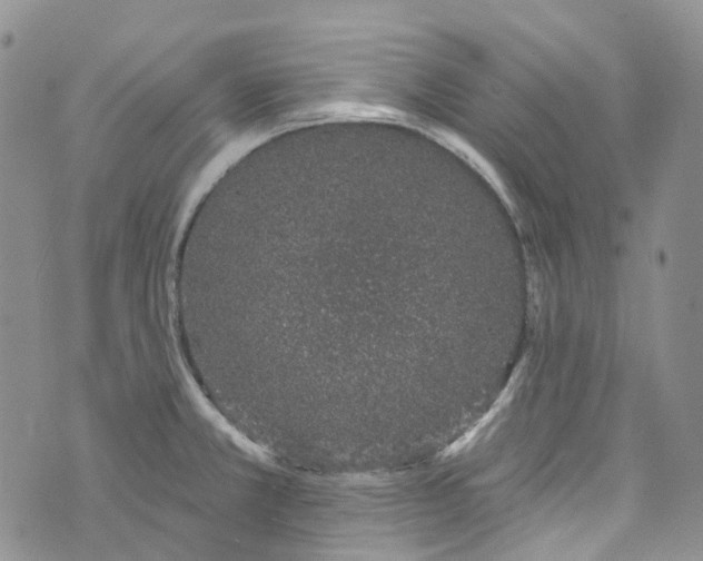 X0000072991381200608041257