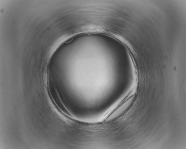 X0000072991383200608041257