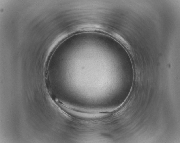 X0000072991384200608041257