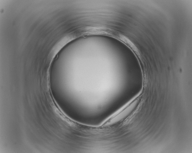 X0000072991386200608041257