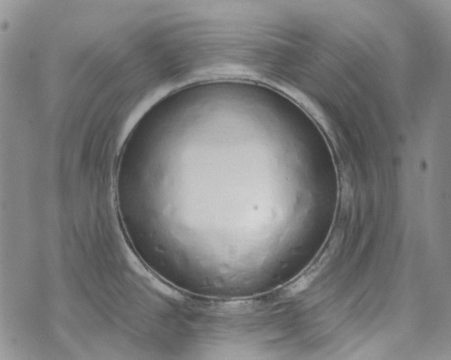 X0000072991390200608041257