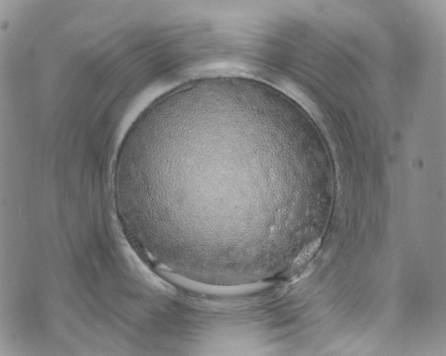 X0000072991392200608041257