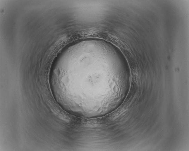 X0000072991393200608041256