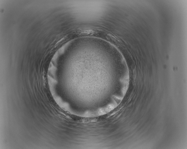 X0000072991394200608041256