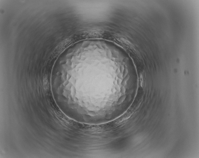 X0000072991395200608041256