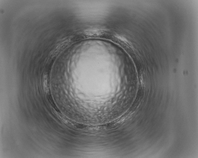 X0000072991396200608041256