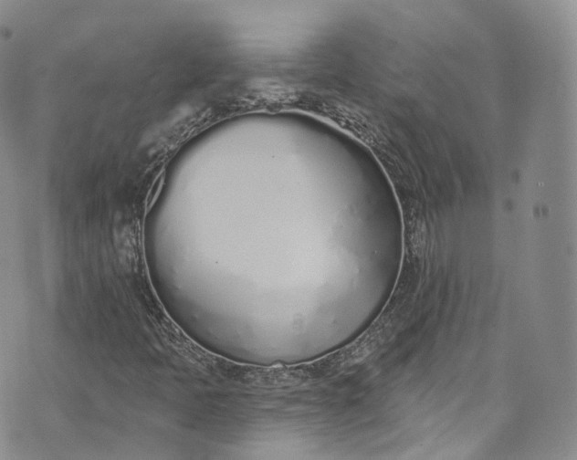 X0000072991397200608041256