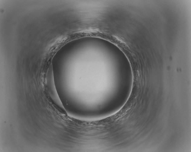 X0000072991398200608041256