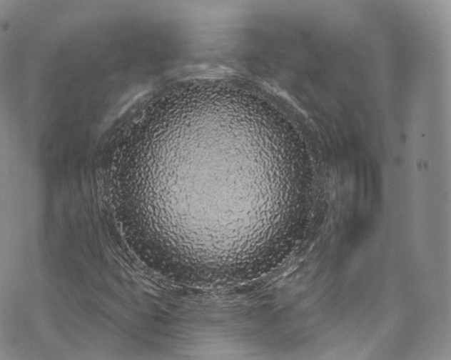 X0000072991399200608041256