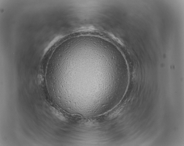 X0000072991400200608041256