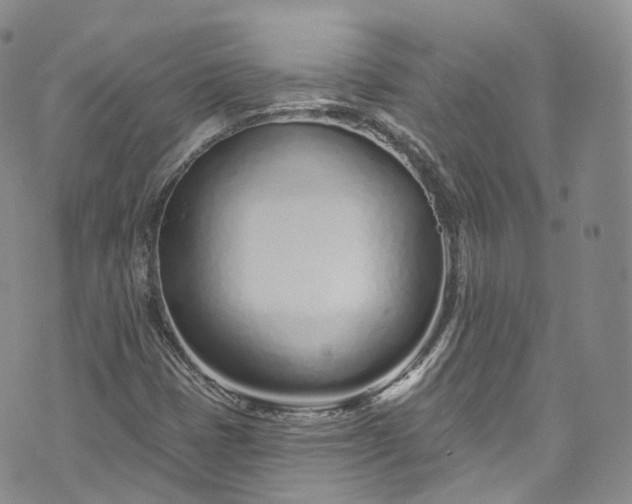 X0000072991401200608041256