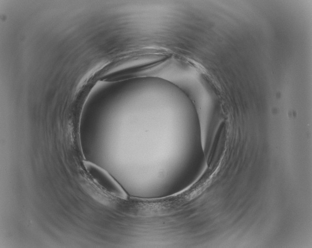 X0000072991402200608041256