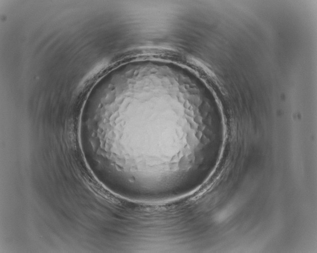 X0000072991403200608041256