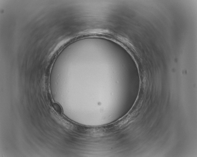 X0000072991404200608041256