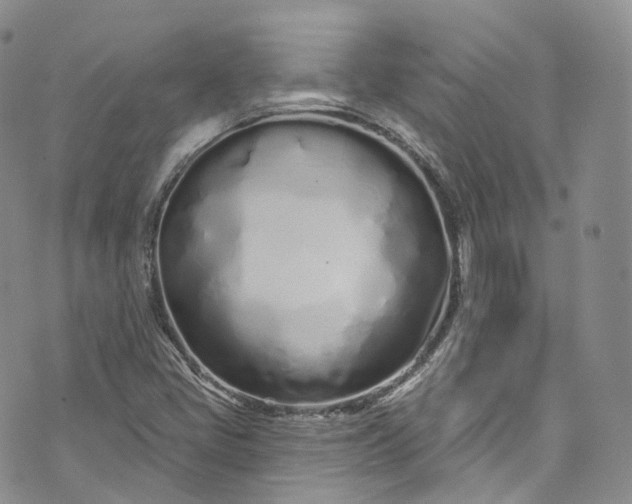 X0000072991405200608041256