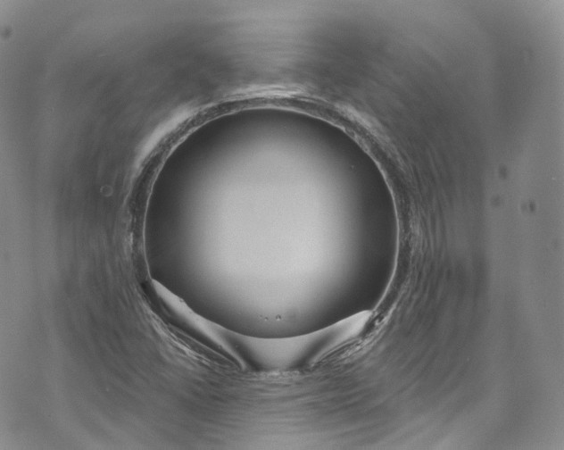 X0000072991406200608041256