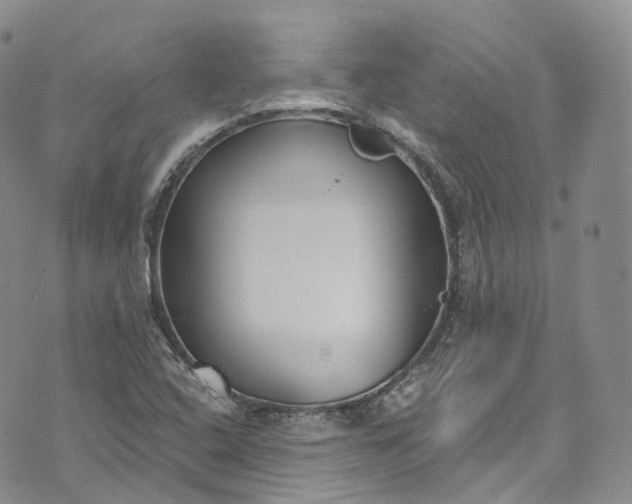 X0000072991408200608041256