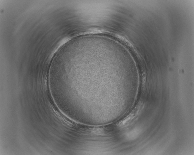 X0000072991409200608041256