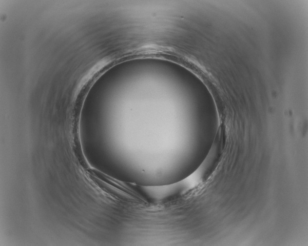 X0000072991410200608041256