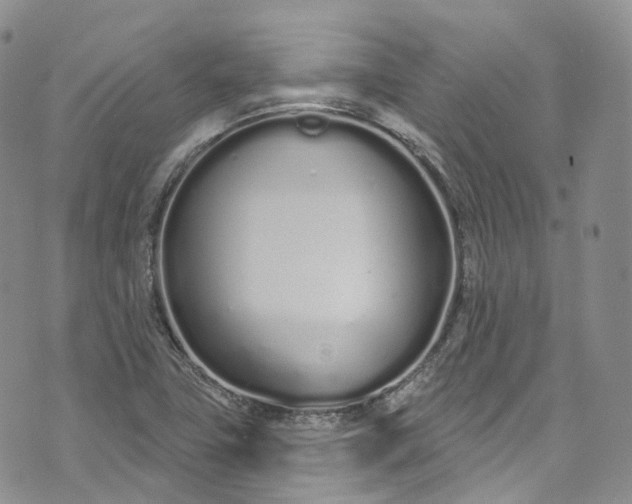 X0000072991411200608041256