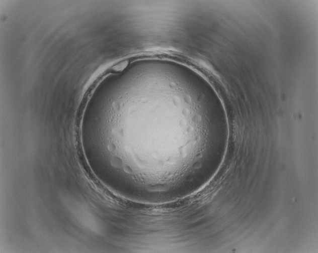 X0000072991412200608041256