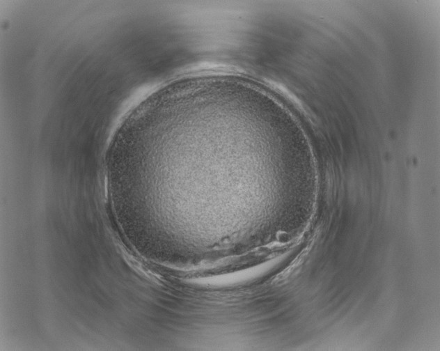 X0000072991413200608041257