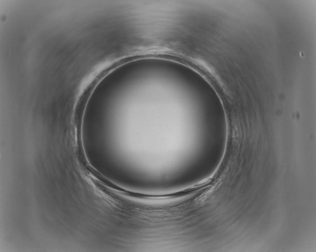 X0000072991414200608041257