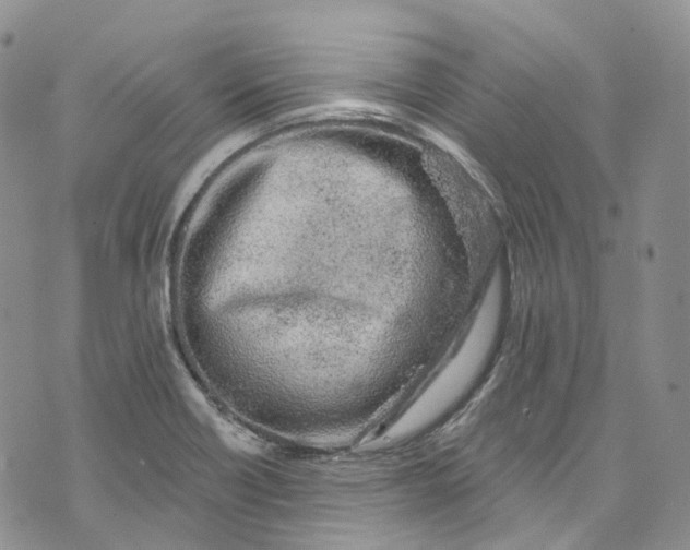 X0000072991418200608041257