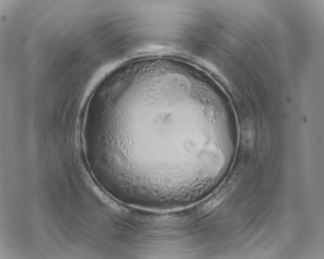 X0000072991421200608041257