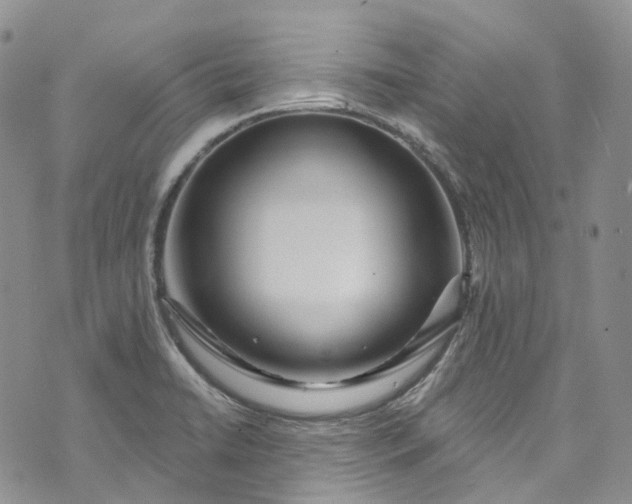 X0000072991422200608041257