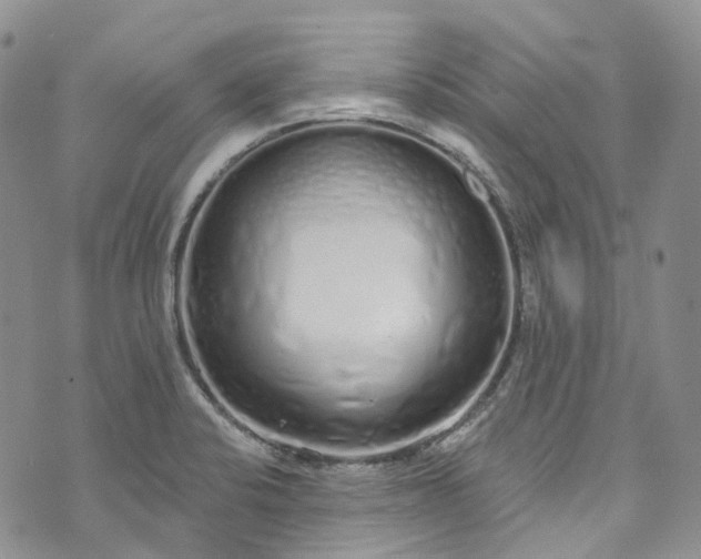 X0000072991424200608041257