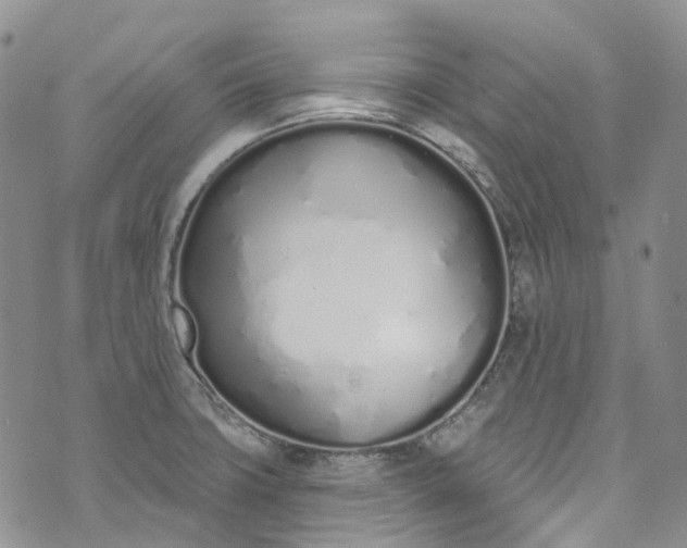 X0000072991427200608041257