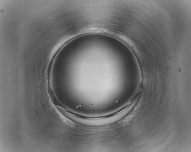 X0000072991430200608041257