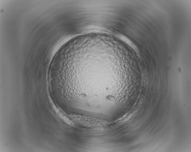 X0000072991431200608041257