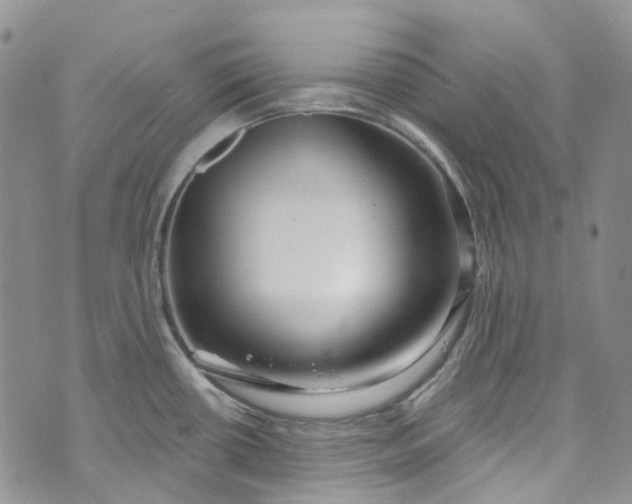 X0000072991434200608041257