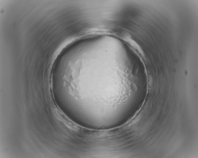 X0000072991435200608041257